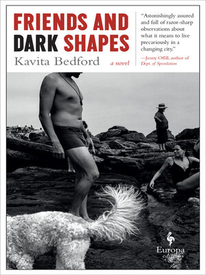 cover image of Friends and Dark Shapes
